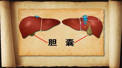 购买重疾险