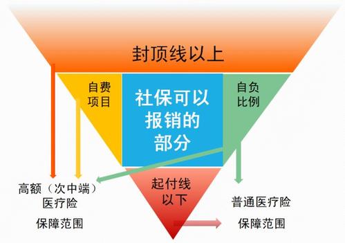 社保报销比例
