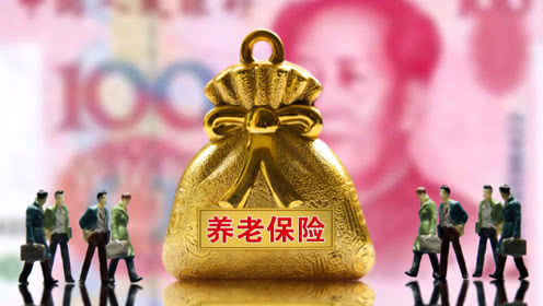 养老保险