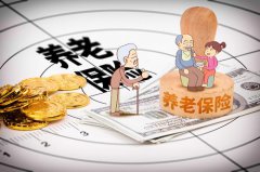 什么是储蓄积累型养老保险