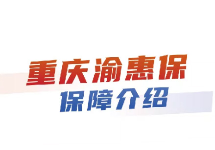重庆渝惠保简介