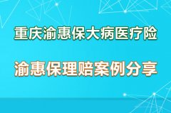 重庆渝惠保大病医疗保险,演示理赔案例