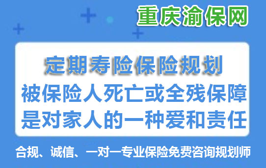 定期寿险保险