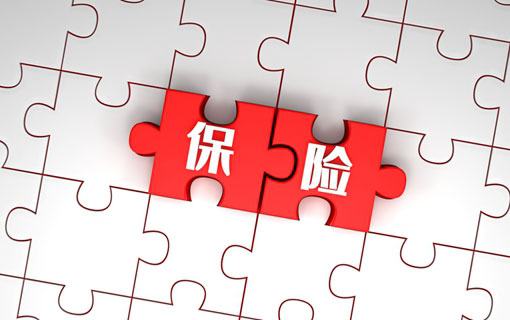 专业重大疾病保险咨询